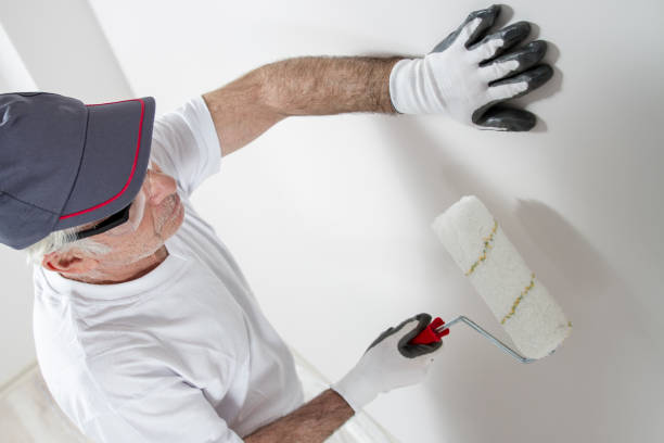 Best Wallpaper Removal and Painting  in Oak Grove, MO